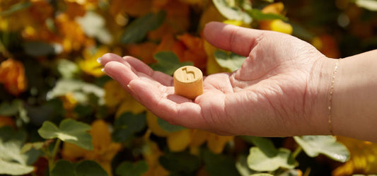 Elevate Your Shower with Aromatherapy
